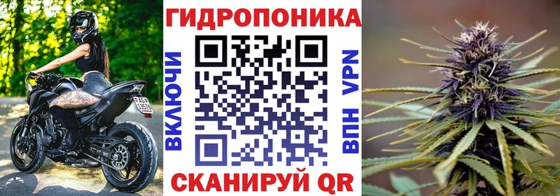 Бошки Шишки сатива  Короча 